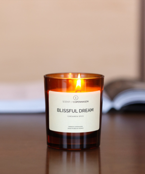 SCENT OF COPENHAGEN ART OF TIME CANDLE BLISSFUL DREAM 258